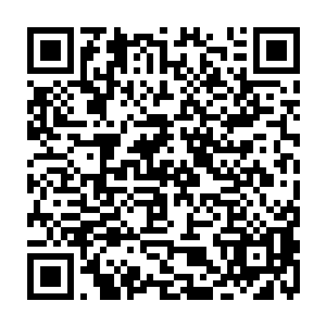 但他们两人都怕因为矛盾激化而影响到县里的工作最终导致两人仕途都受到影响二维码生成