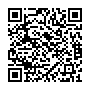 但他们也会因为夏天的话而不太相信云仙宗的人二维码生成