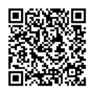 但他们却拥有了那个时期完整人类所创造的强大功法二维码生成