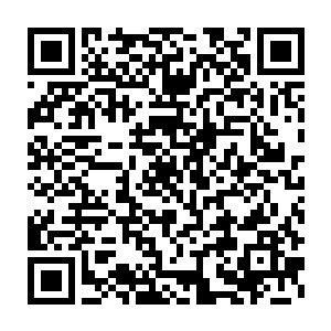 但他们本身不受这虫子的影响肯定跟他们最先吞下去的那一捧东西有关二维码生成