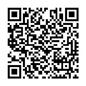 但他会拼尽一切活下去--不仅仅是自己要活下去二维码生成