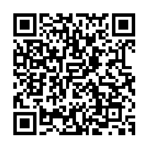 但他动静之间与身周环境的奇特交融却属于新晋半步外景的标志二维码生成