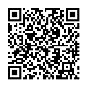 但他的手掌拍打在那人的手臂之上却不能将其动弹一分二维码生成