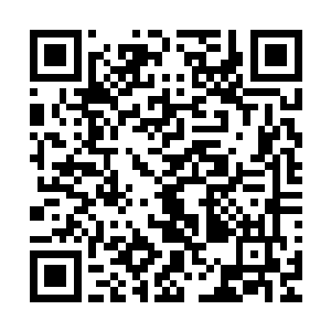 但他还是很执着地通过扩音器冲对方喊出了一个现编的招式名二维码生成