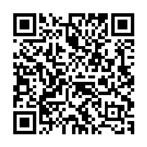 但你也别太随性了……毕竟咱这队伍里大部分人都是职业玩家二维码生成