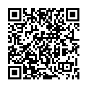 但保镖队长黑田英松和岸俊男都没见过中医的针灸和银针二维码生成