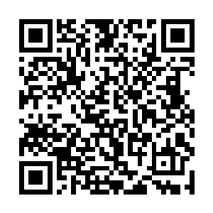 但假如是另一种情况呢……假如只有一条路是正确的二维码生成