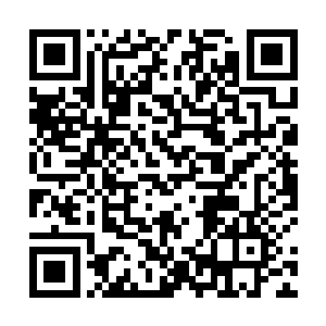 但光凭这黑暗沼泽刚刚表现出来的可怕腐蚀性和破坏性二维码生成