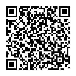 但其中却蕴含着一种无双战意的怒吼声也忽然从那大地之下响了起来二维码生成