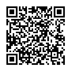 但其飞行员和机组成员还活着的可能性还是很大的……二维码生成