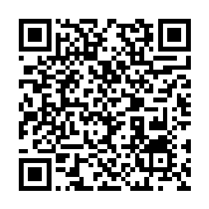 但凌家人……一直是拥有可以浴血重生的血凤凰啊二维码生成
