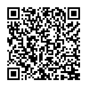 但几乎所有报道都刻意提起到了雨果专门出席首映式为好友莱昂纳多捧场二维码生成