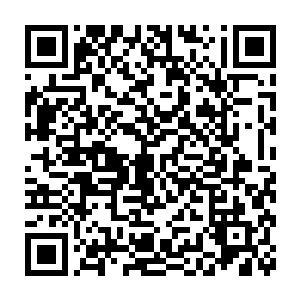 但凡他们有一点的力气和精力他们想的不是好好的赚钱过正常人日子二维码生成