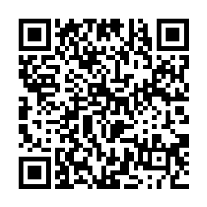 但凡跟这个宗门有瓜葛的宗门或者势力全都没有幸免二维码生成