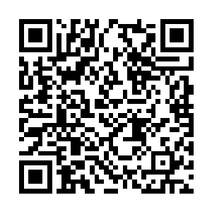 但分身却会因为种族的不同而出现一些不同的性格二维码生成