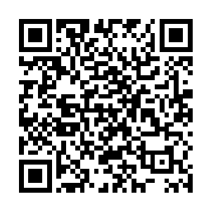 但刚刚人参果散发出来的果香和灵力却是几乎人皆有份二维码生成