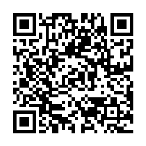 但刚才两个拳头相碰的画面又回到了他的脑海旗鼓相当二维码生成