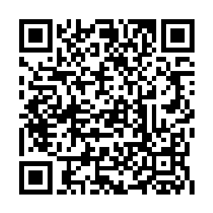 但刚才我哪有时间去理会他们是不是有血缘关系二维码生成