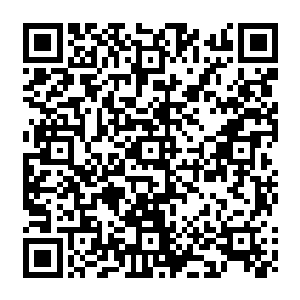 但却也看到之前小松鼠和修真者夏天对峙的画面并且通过听风知道了小松鼠被追杀的原因二维码生成