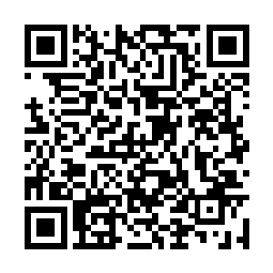 但却又是那样的无奈……鳄蛟已经在极力的挣扎了二维码生成