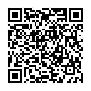 但却没想到一凌家家主凌天晓那样强横的力量都抵挡不住二维码生成