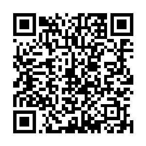 但却让喵星人可以在按下门把手的时候靠体重把门向后拉开二维码生成