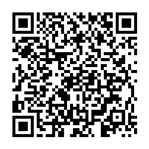 但反震的力量却也肯定不是孙婷婷这种普通人的身体能够承受的住的二维码生成