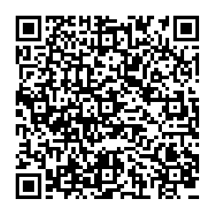 但只有这一次龙飞才算是真正接触到京城背后所隐藏的巨大政治权力圈和深圳背后的巨大财富圈二维码生成