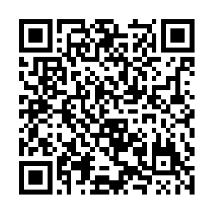 但在与荣耀至死的首轮比拼之中已经暂时落于下风了二维码生成