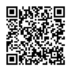 但在程珈澜这个可以挥着铁棍打死野狼的人面前二维码生成