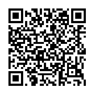 但在葬圣谷学习的战斗技巧积累的战斗经验还在二维码生成