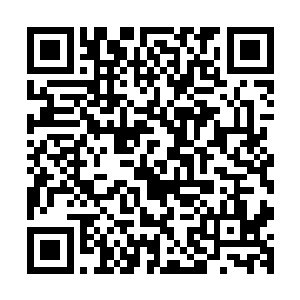 但夏天还是靠着自己的界王决和仙棺披风直接将他的攻击化解二维码生成