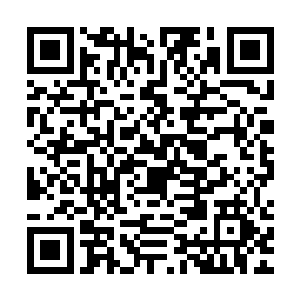 但大体上雷林相信自己的猜测与芯片的模拟没有任何错误与缺漏二维码生成