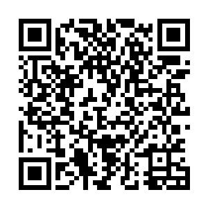 但她的回答却是无懈可击的……让秦方都找寻不到什么破绽二维码生成