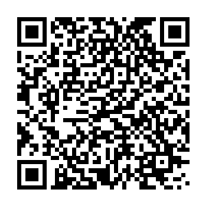 但她还是勉强用虚伪的笑容面具支撑着自己即将分崩离析的面部表情二维码生成