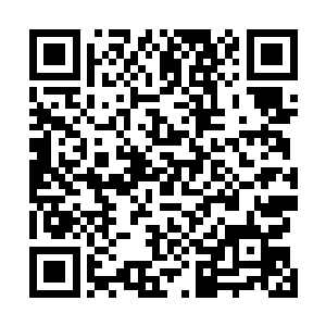 但如今摆在他们面前的路却已经只剩下了主动出击这一条二维码生成