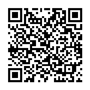 但如今江少游的速度比他们之中的任何一人都还要快上几分二维码生成