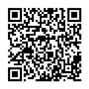 但如果不是他们去无缘无故对夏天正面出手的话二维码生成