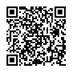但如果他的实力真的可以提升到和那些顶尖高手一样的话二维码生成