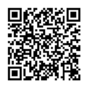 但学校是必定把持在本城最大牌文官巡抚手里的二维码生成