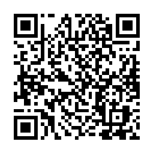 但它的防御力却比许多实体的铠甲还要强横无数倍的二维码生成