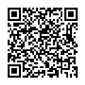 但对妮娜这个曾经是人的异类来说就真是……要逼死猫了二维码生成