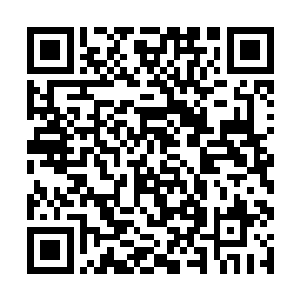 但对妮娜这个蹲在昏暗的屋子里一周没出门的猫来说二维码生成