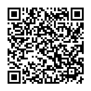 但对楚旬等人而言其价值却远远无法跟能够尽快转化为能量的晶矿相比二维码生成