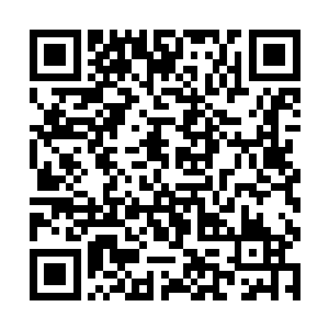 但小宝散的其实威压忽然打断了他们之间的暗流涌动二维码生成