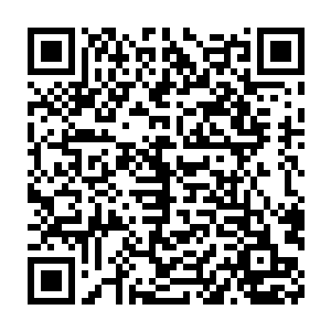 但就妮娜这个经历了现代这个物质极其丰富的时代的人……猫来看二维码生成