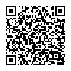 但尸体被人剁碎封在罐子中被小蛇慢慢的吞噬这种痛苦终究是不是能掩盖的二维码生成