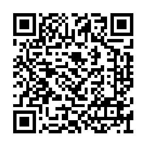 但巴克丰富的战斗经验终于在他脑海里面警醒了二维码生成