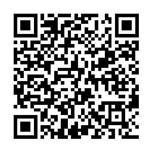 但幸好月落和秦钰大部分暗卫以及谢氏暗探都保住了二维码生成