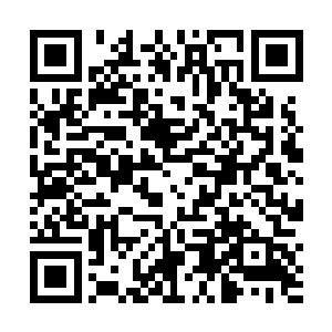 但我可以保证的是最后所获得的收益一定会被平均分配二维码生成